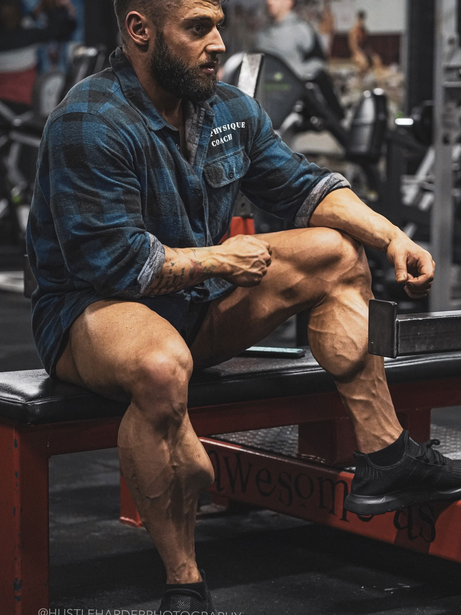 King Calves™ photo