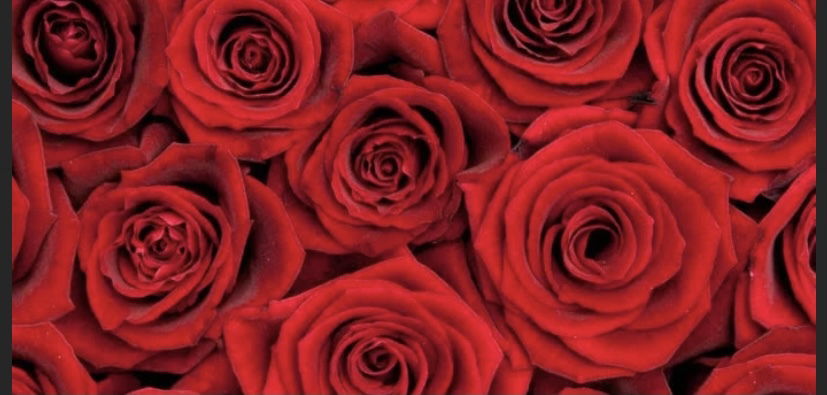 ❤️❤️❤️ photo