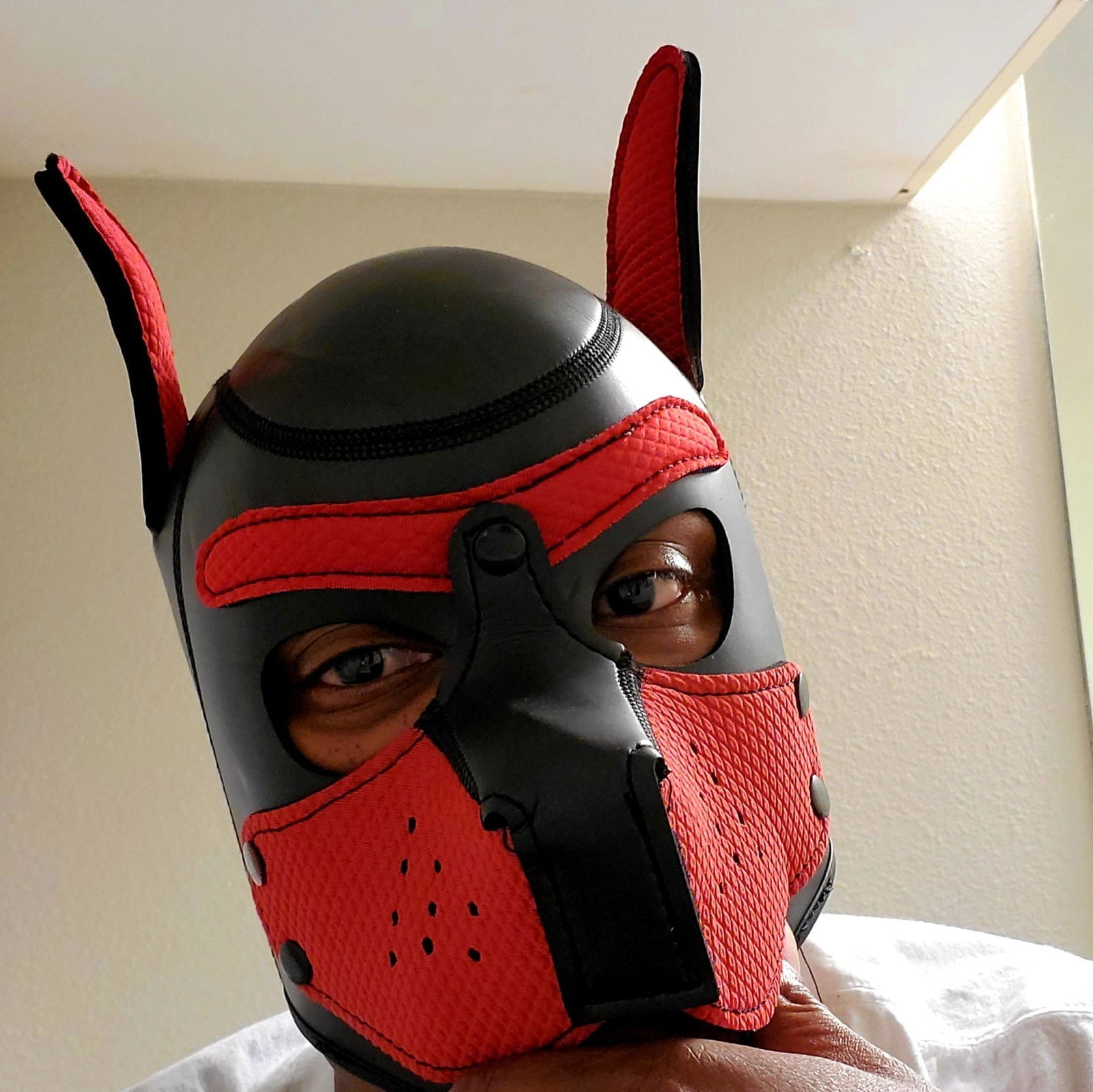 BStarrLiveAndDirect photo