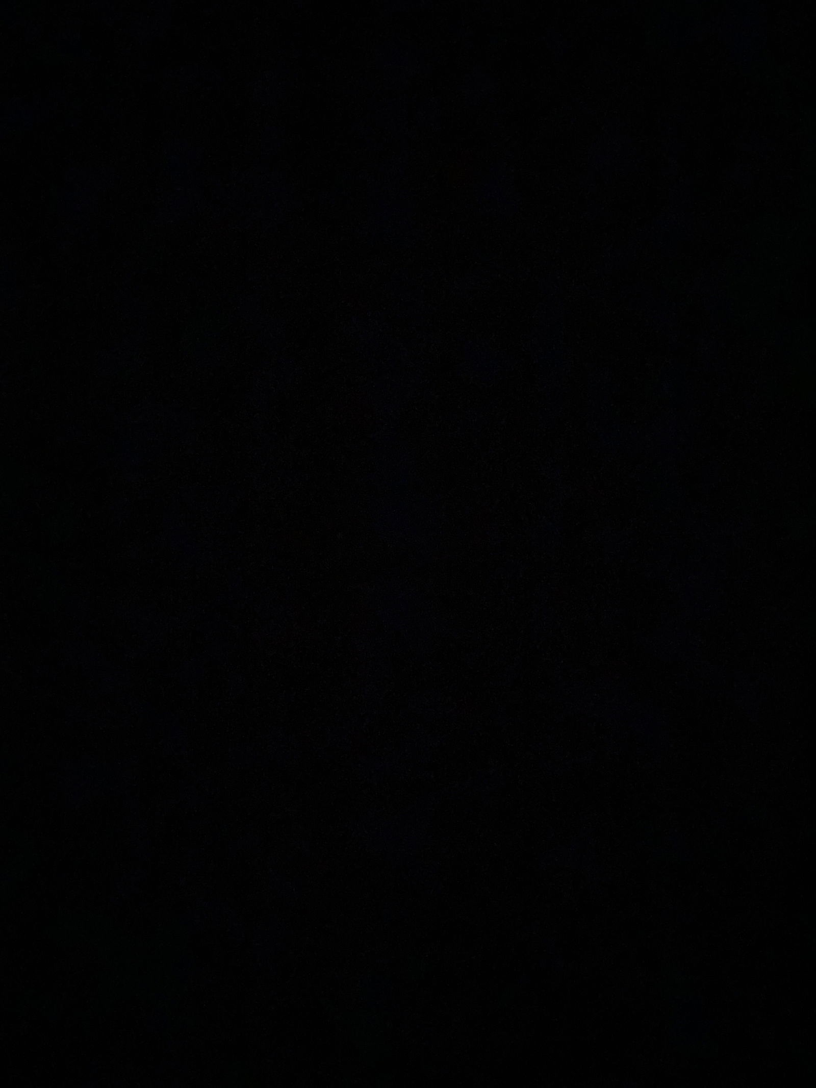 Alisha Ramirez photo