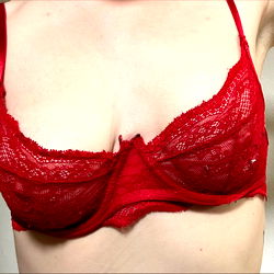 Red Lace Bra Photoshoot