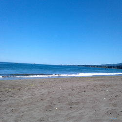 Forbiddenaffairs photo