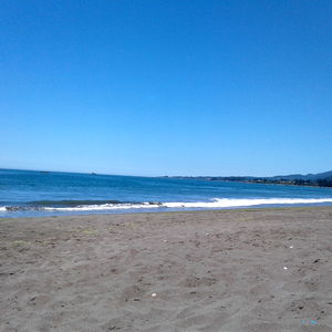 Forbiddenaffairs photo