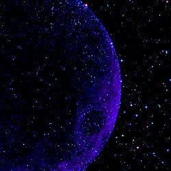 Savore Minx 🦄 photo