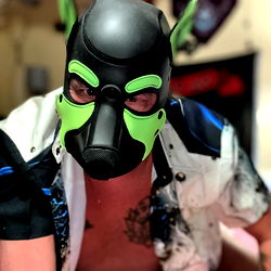 Pup Draven photo