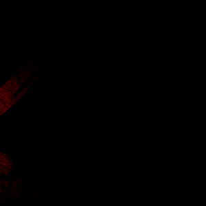 Treasure Island Media photo