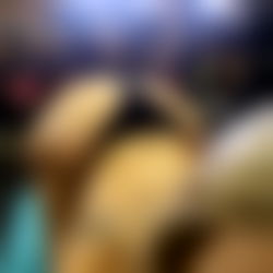 Aussiegymbeauty_ photo