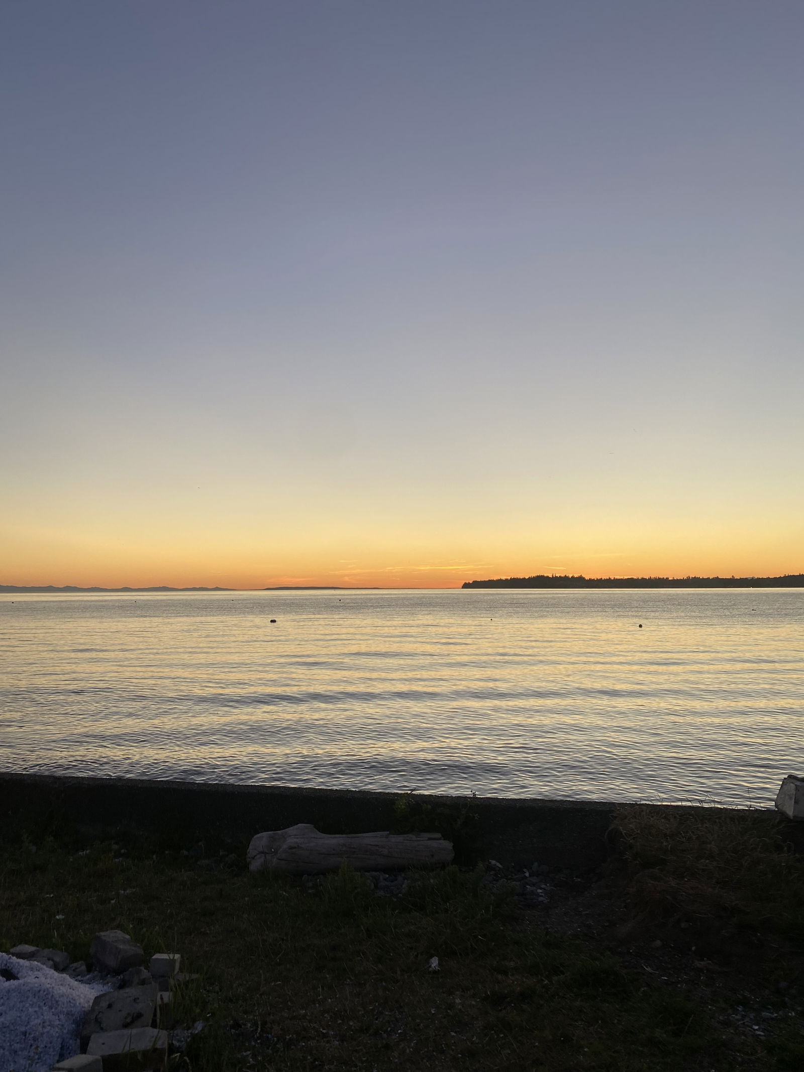 Anastasia Vyvanski photo