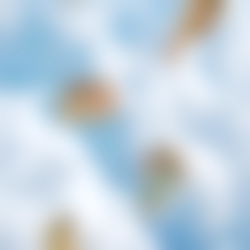 🪽Angel Between🪽 photo