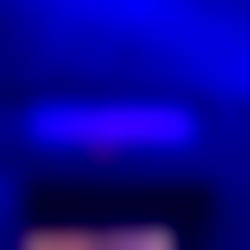 Indigo Darling photo