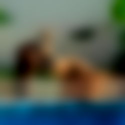 Ariadna Morales photo