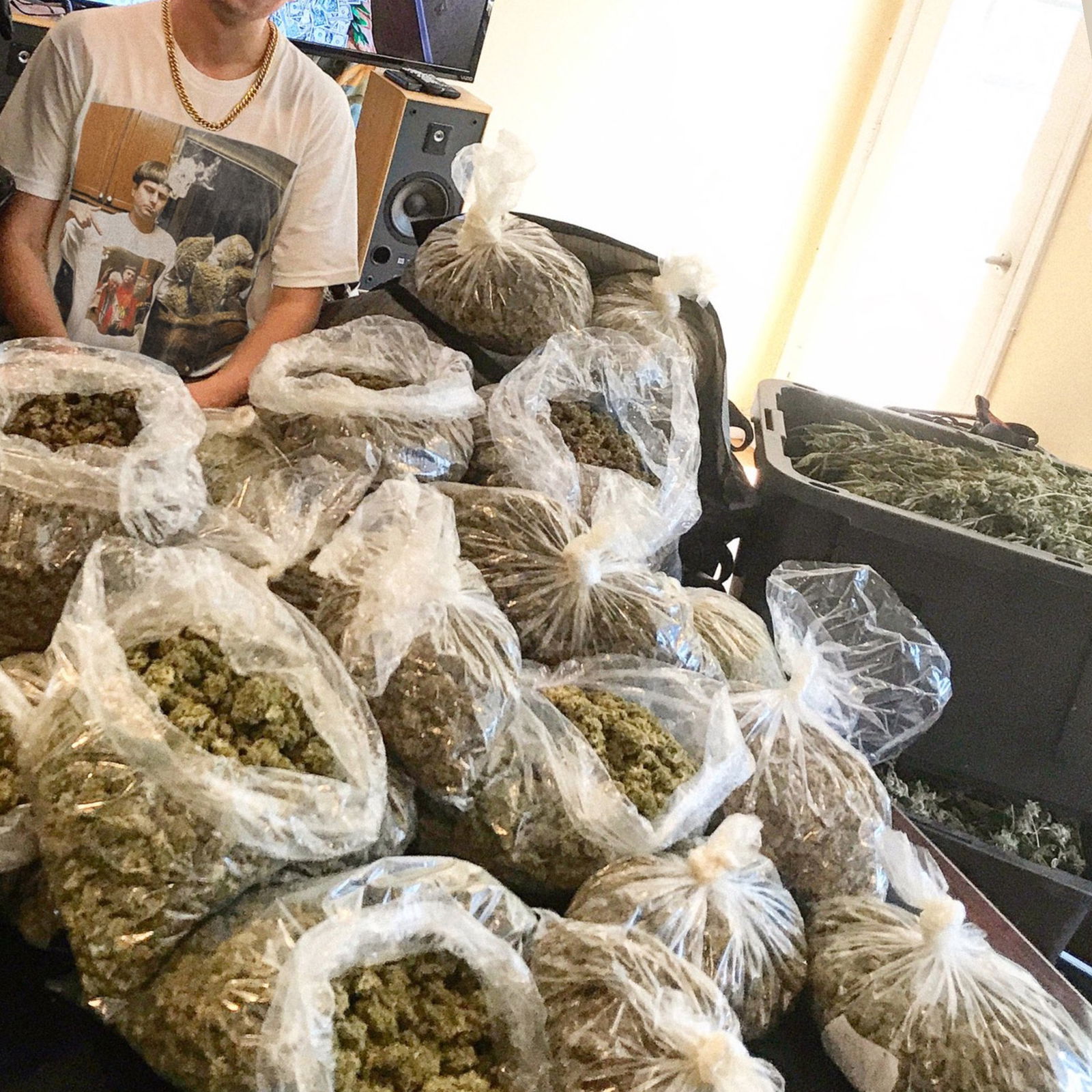 Devin Glenhill photo