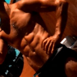 Italian Stallion photo