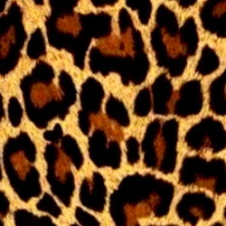 👄N A Z A R E N A👄 photo