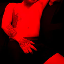 Intimate Moment: Pappashark