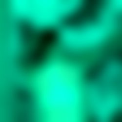 Christine Kanga photo