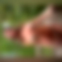 Taylor Madison๐ (YOUR FAVORITE BLONDEโจ) photo