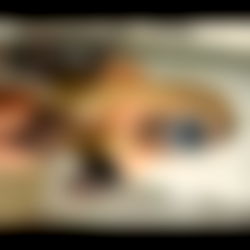 ๐จ๐๐๐๐๐๐๐๐ photo