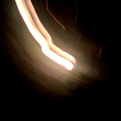 Gracie Frances photo