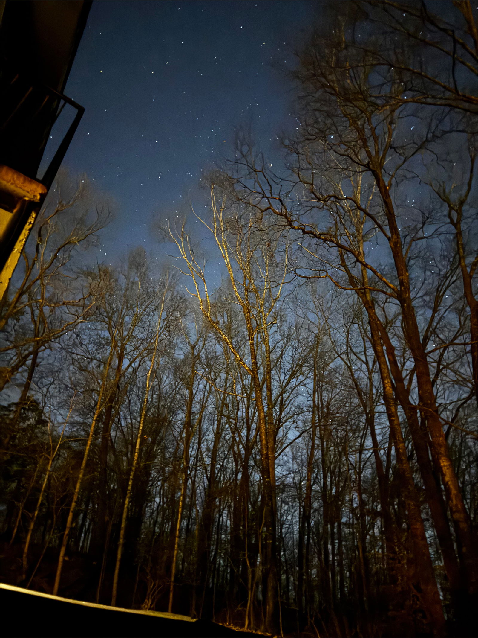 MOMMY SOSA😈 photo