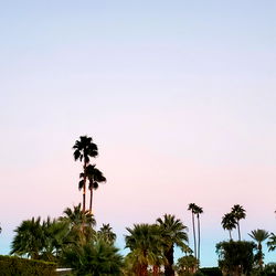 Silver Diamond 💎 photo