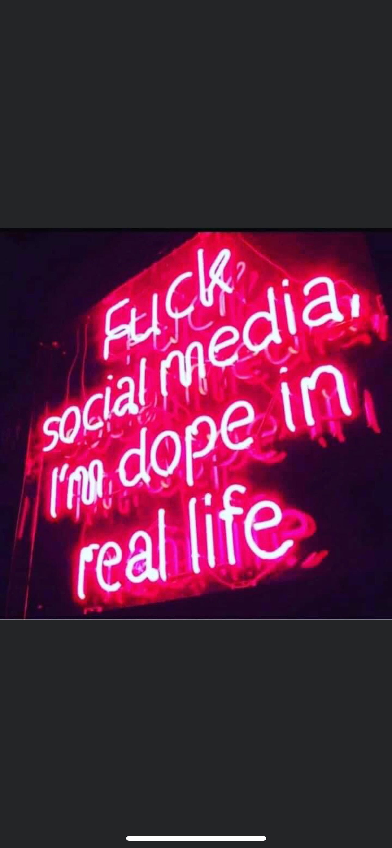 Palm Beach Bunni photo