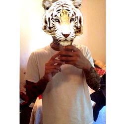 Angel's Tiger Transformation Photoshoot