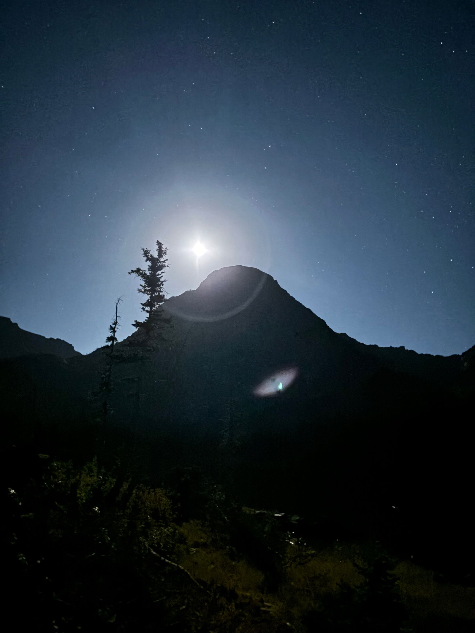 Girthquake_303 photo