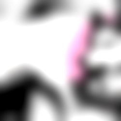 ๐ฟ๐๐ฅ๐ photo