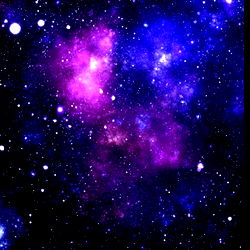 LoneStarFluffychick photo