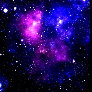 LoneStarFluffychick photo