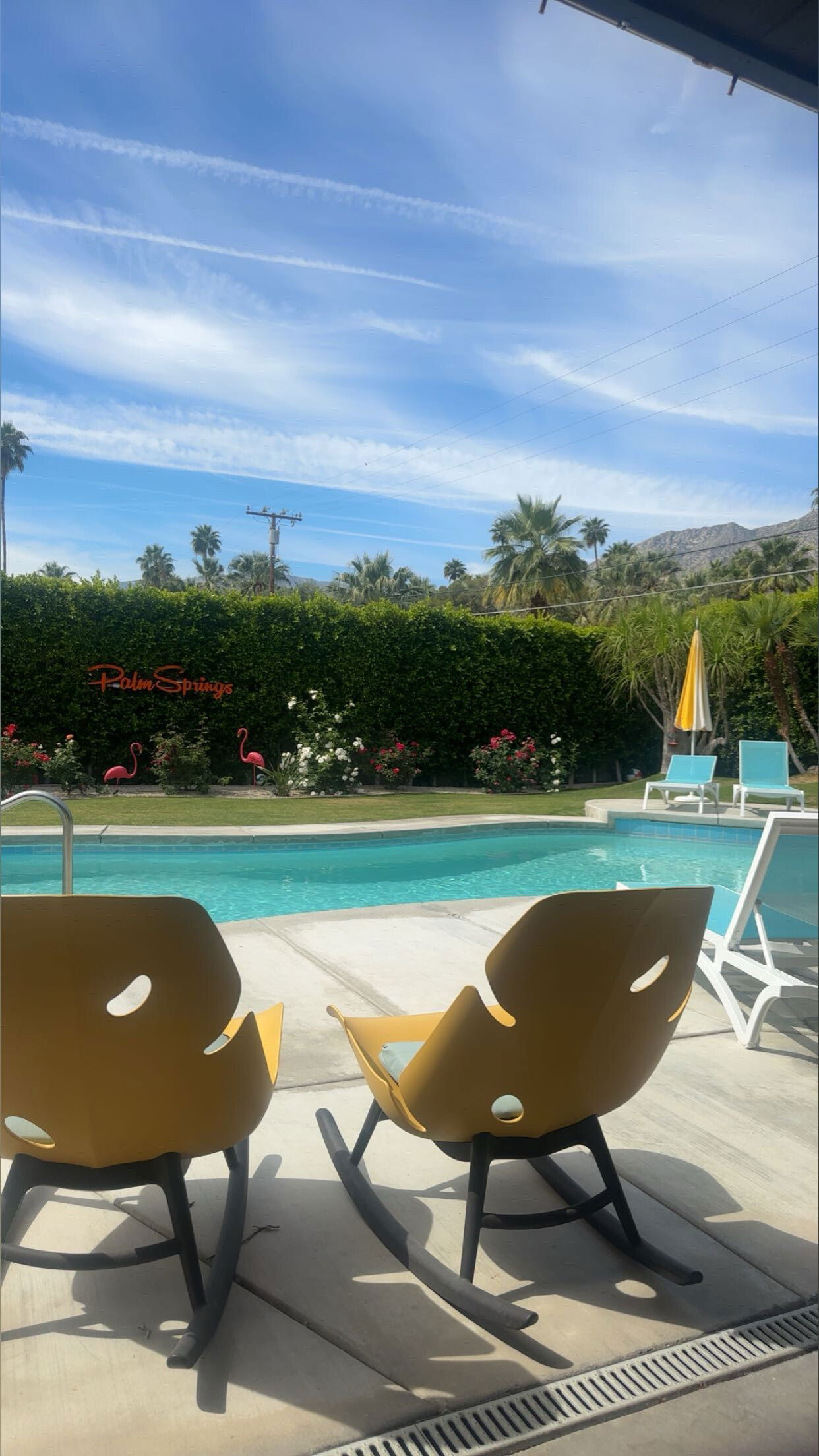 Angel Bangz and company photo