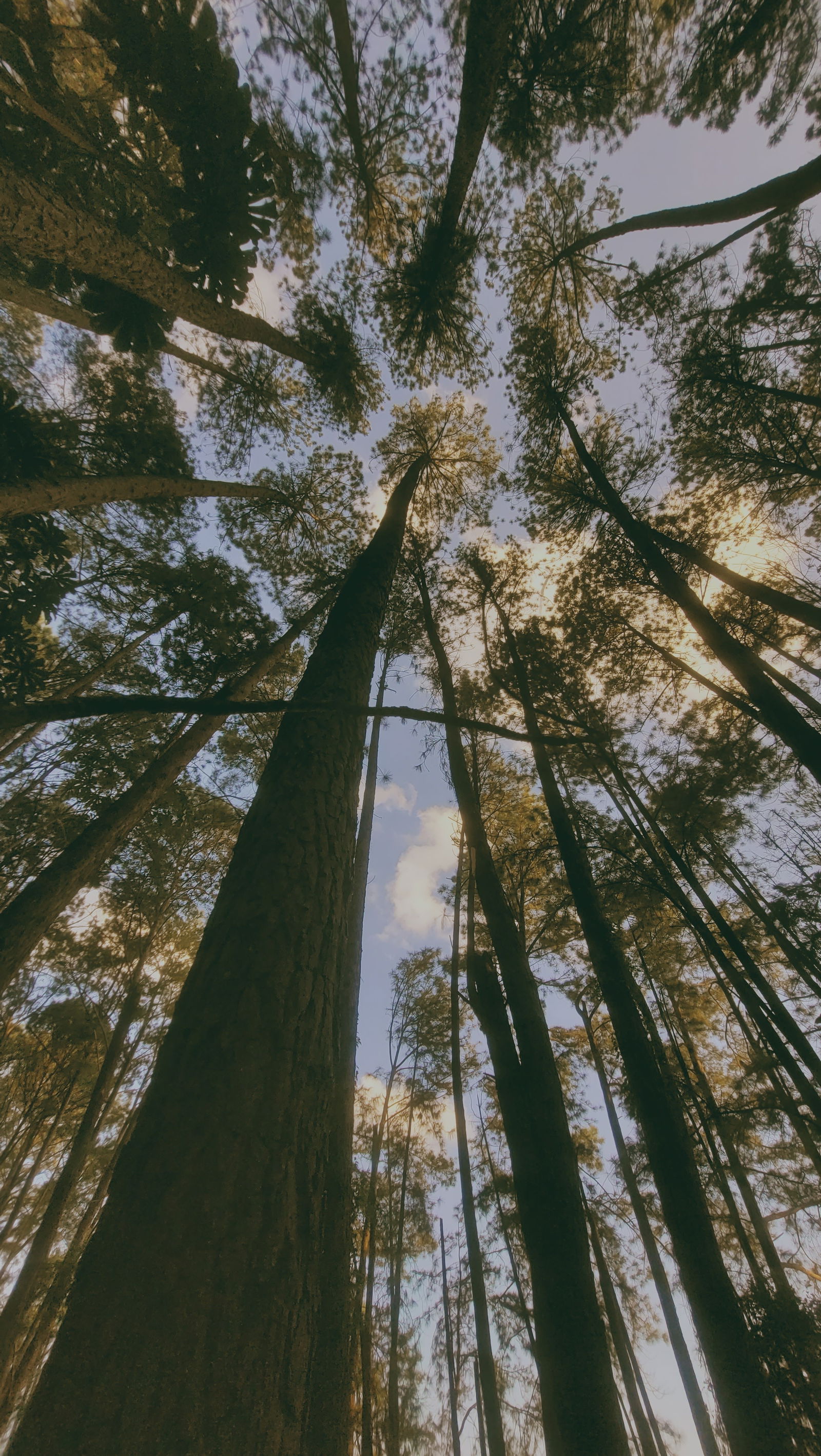 Marcelo Goulart photo