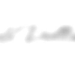 Kitty Kat ๐ค photo