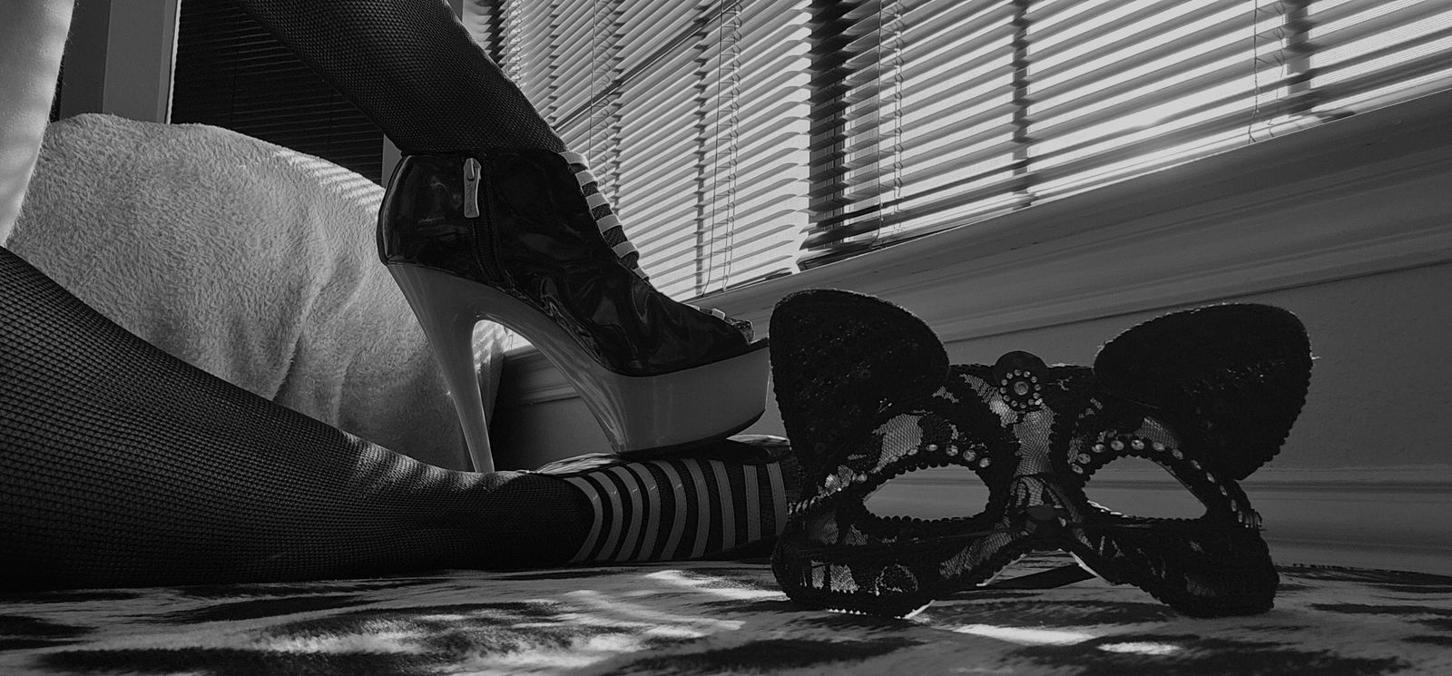 Longtallkitkat photo