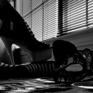 Longtallkitkat photo