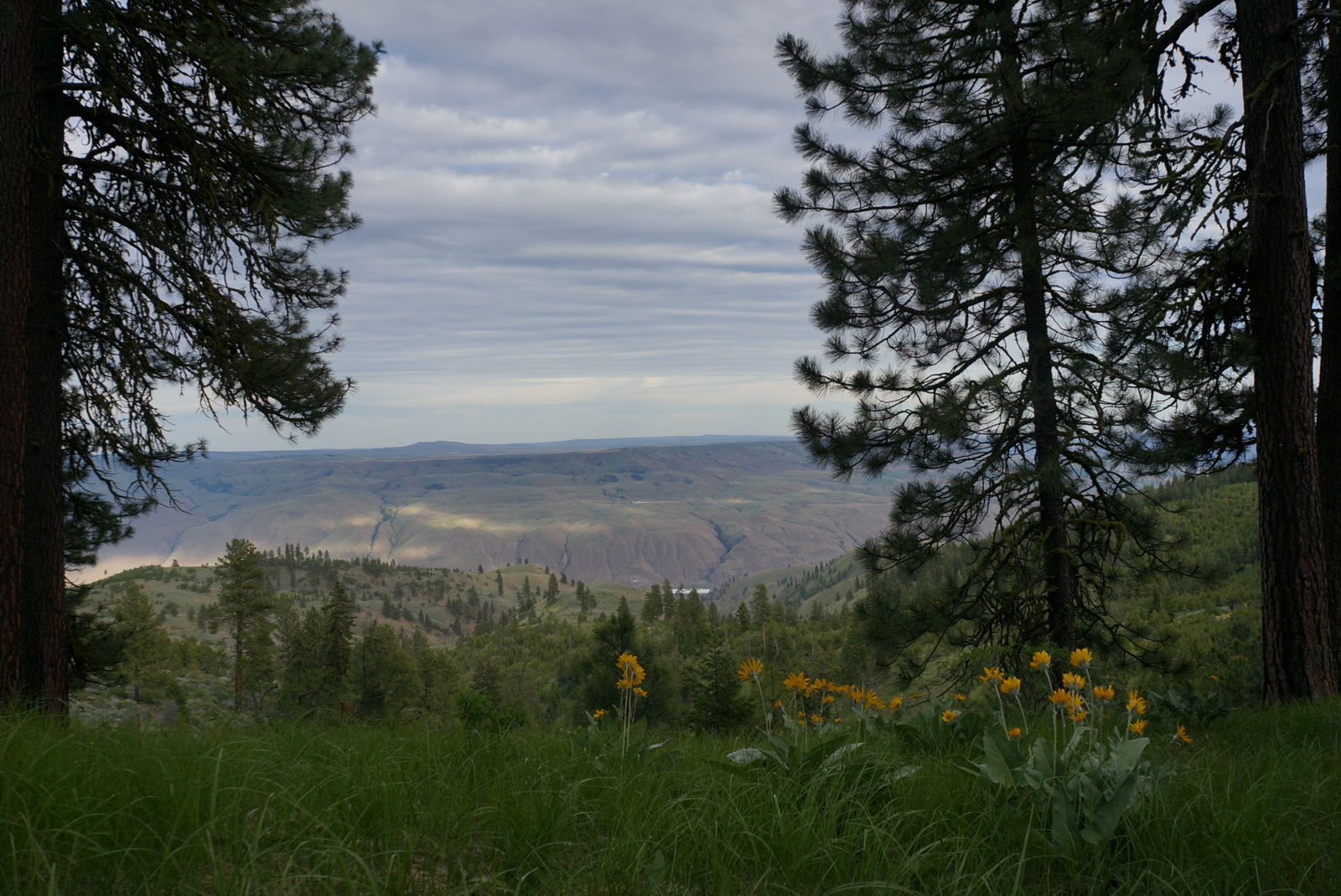 hidemyassdotcom photo