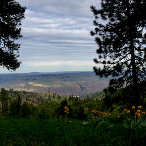 hidemyassdotcom photo