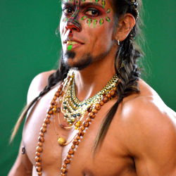 Arbolink: A Fitness Model with a Spiritual Twist