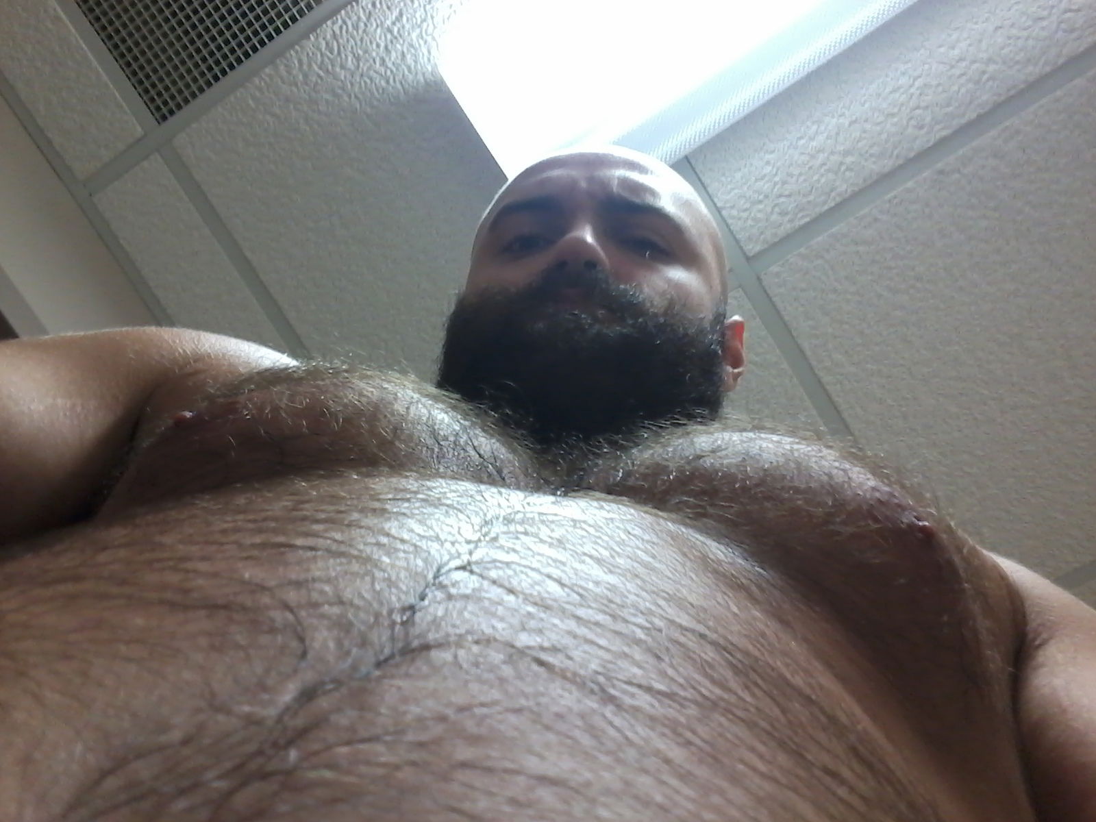 Canadian Bones photo