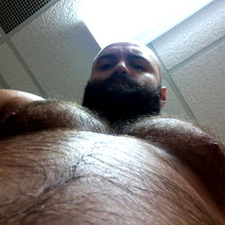 Canadian Bones photo