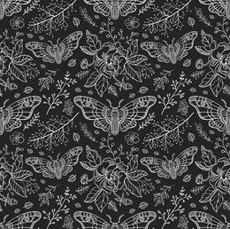 𝔸𝕦𝕕𝕣𝕖𝕪 𝕃𝕒𝕧𝕖𝕟𝕕𝕖𝕣 photo