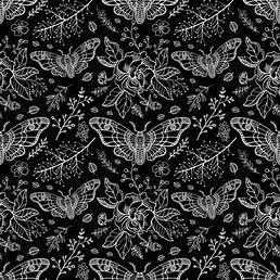 ๐ธ๐ฆ๐๐ฃ๐๐ช ๐๐๐ง๐๐๐๐๐ฃ photo