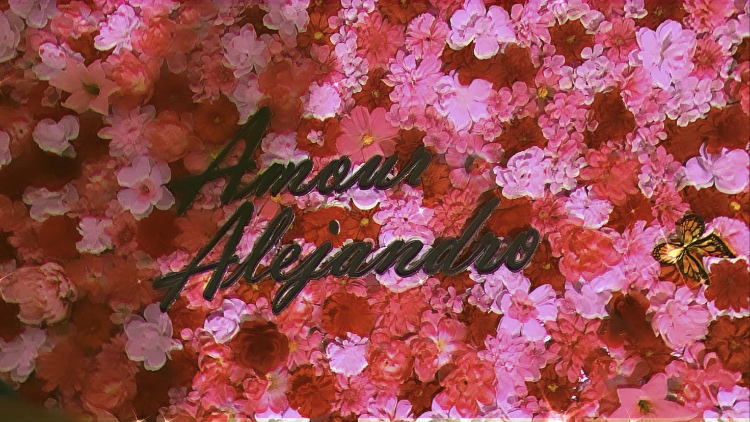 Amour Alejandro photo