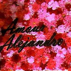 Amour Alejandro photo