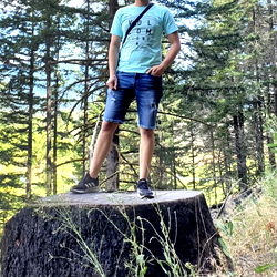 Person on rock in forest