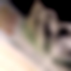 August | ์๊ธฐ photo