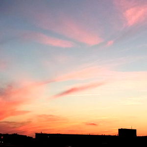 โ Amaris Blackโ photo