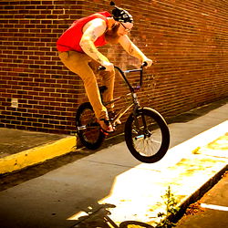 Triple P Shirts photo