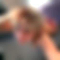 Venus๐ฎ๐ฟ photo